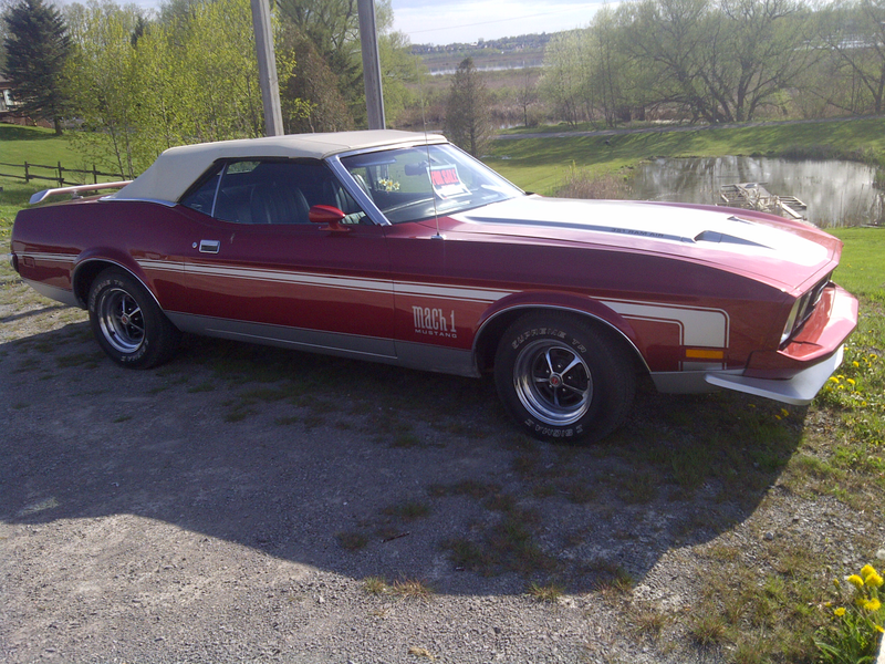Illustration for article titled I took a lot of terrible phone pictures of cars!